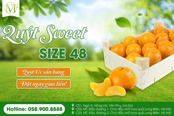 Cửa hàng trái cây nhập khẩu Vinh - Mạnh Thành Fruits