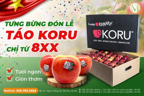 Kho sỉ trái cây nhập khẩu TPHCM - Mạnh Thành Fruits