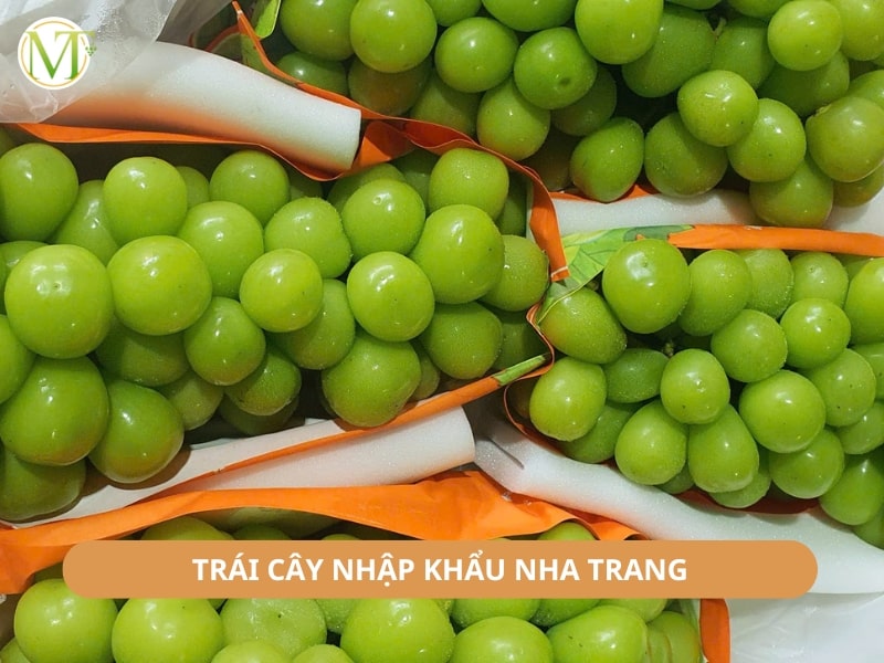 Trái cây nhập khẩu Nha Trang