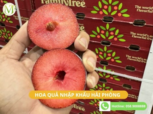 Hoa quả nhập khẩu Hải Phòng