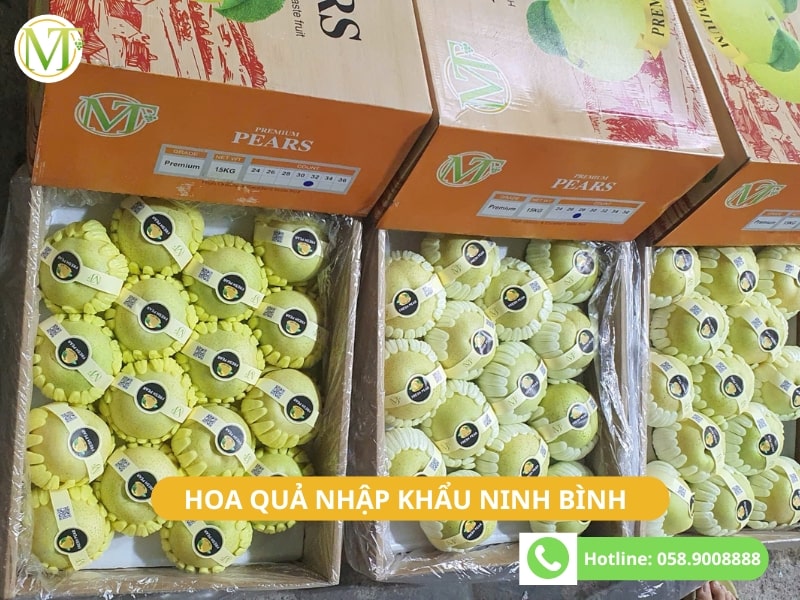 Hoa quả nhập khẩu Ninh Bình