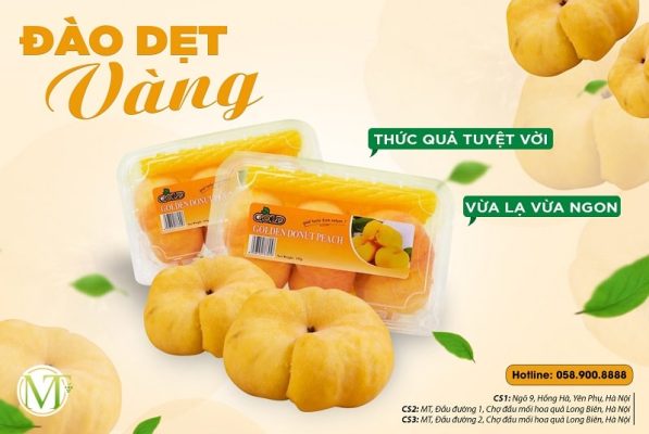 Kho sỉ hoa quả nhập khẩu Cầu Giấy - Mạnh Thành Fruits