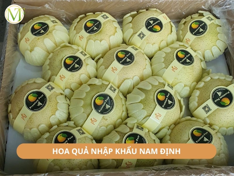 Hoa quả nhập khẩu Nam Định