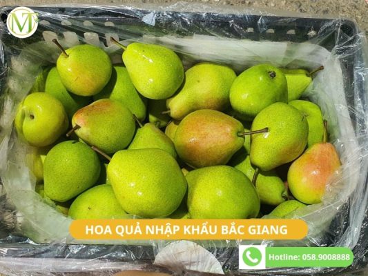 Hoa quả nhập khẩu Bắc Giang