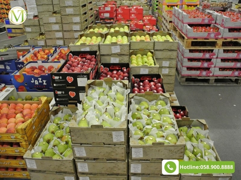 Mạnh Thành Fruits là tổng kho sỉ hoa quả được nhiều nhà bán hàng lựa chọn
