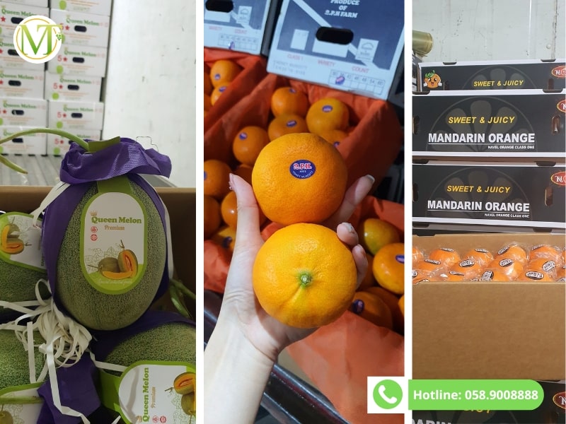 Mạnh Thành Fruits cung cấp hoa quả nhập số lượng lớn tại Nam Định