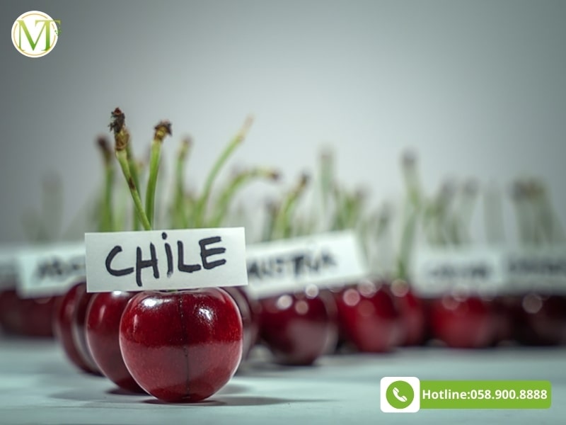 Cherry Chile giá bao nhiêu?