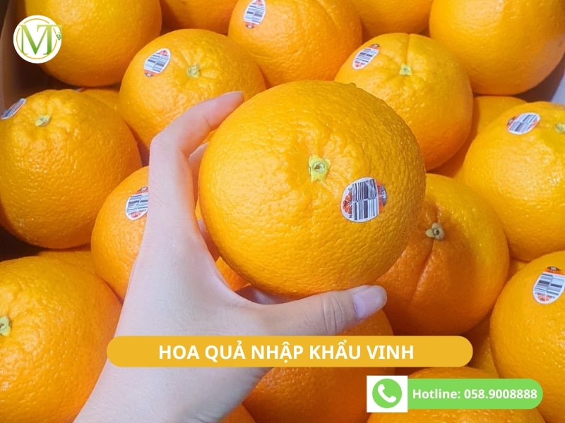 Hoa quả nhập khẩu Vinh