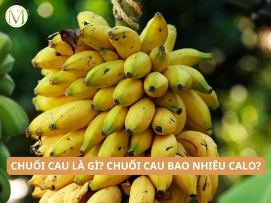 Chuối cau la gì? Chuối cau bao nhiêu calo?